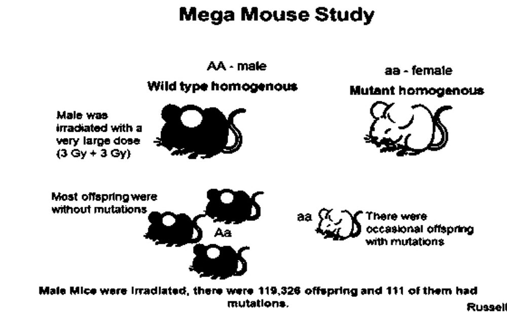 How the Science of Radiation Biology Can Help Reduce the Crippling Fear of Low-level Radiation